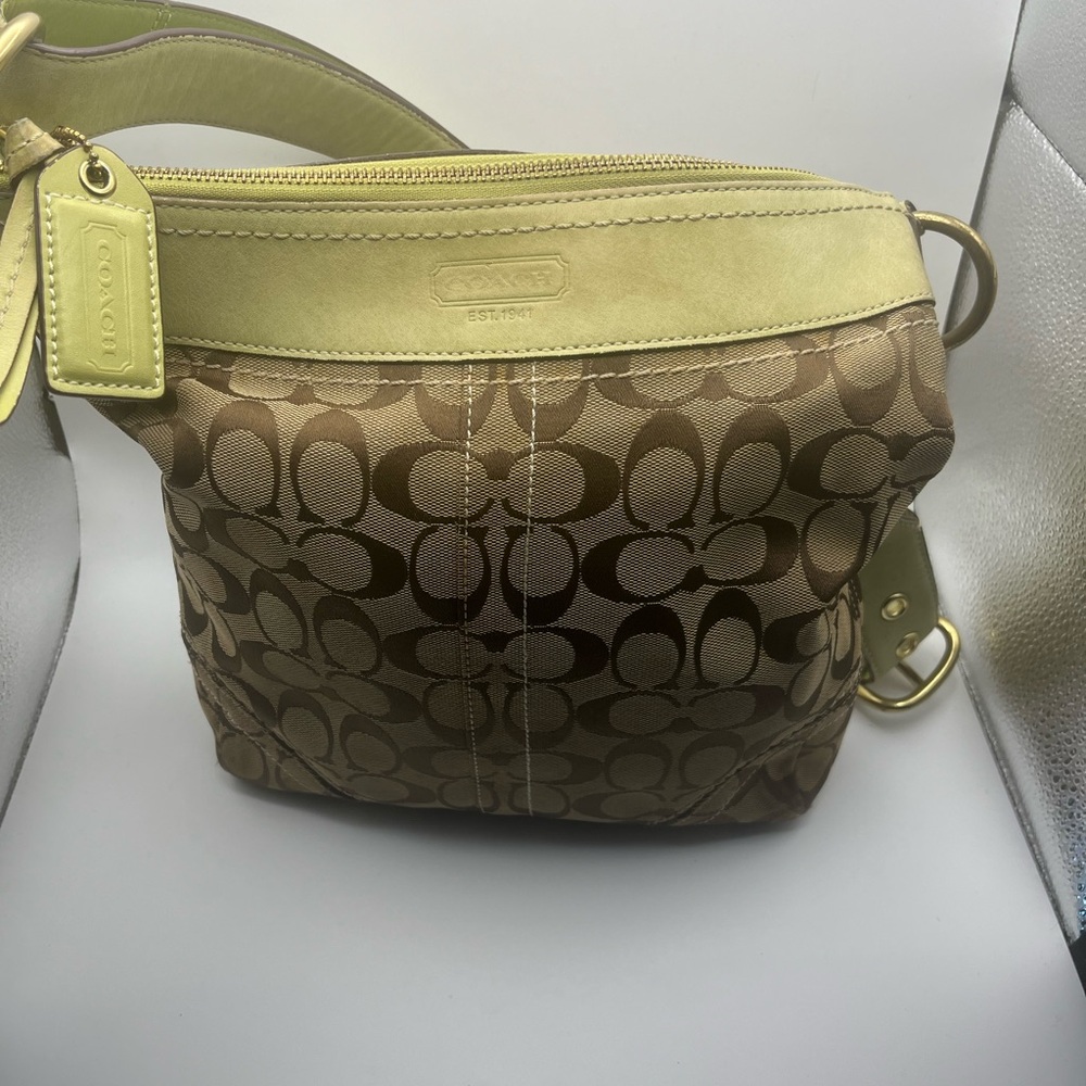 Coach Brown and Tan with Lime Bag